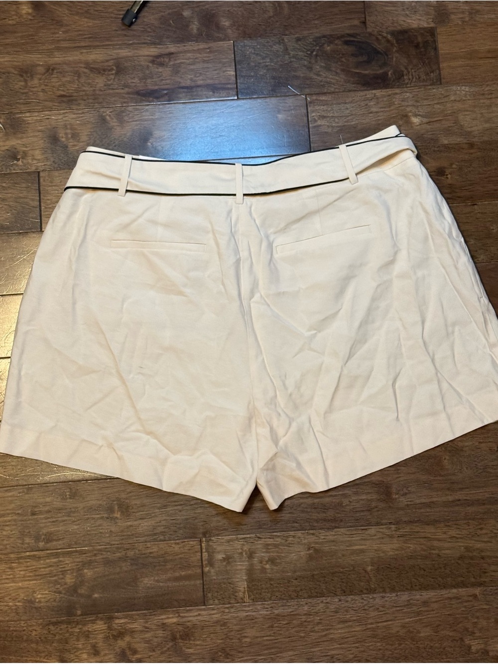 Ann Taylor Factory The Belted Short Size 18 Ivory Black Trim NWT - Picture 4 of 4